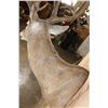 Image 9 : XXXL Freak 41-Point WHITETAIL DEER Shoulder Mount *Real Antlers*