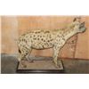 Image 8 : Big Life-sized SPOTTED HYENA on a Wood Base with Wheels