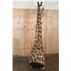 Image 14 : Free Standing GIRAFFE Floor Pedestal Mount
