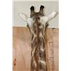 Image 15 : Free Standing GIRAFFE Floor Pedestal Mount