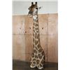 Image 1 : Free Standing GIRAFFE Floor Pedestal Mount