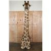 Image 9 : Free Standing GIRAFFE Floor Pedestal Mount