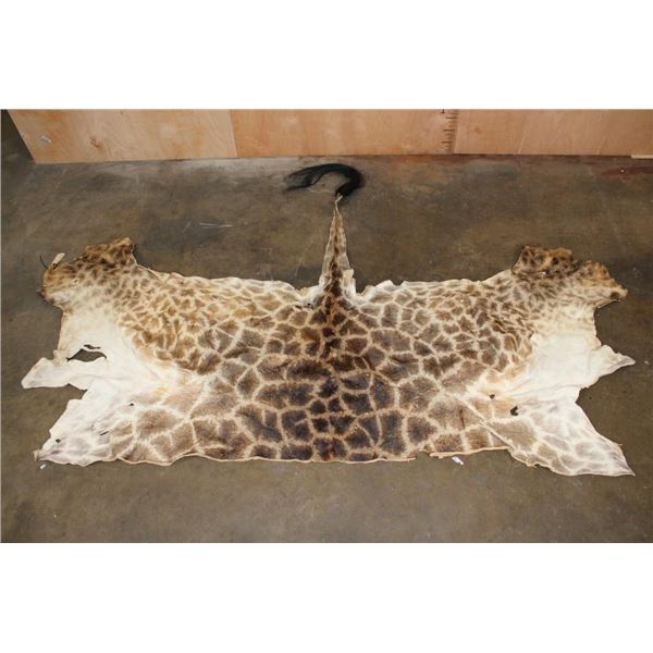 GIRAFFE Back Hide