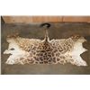 Image 1 : GIRAFFE Back Hide