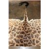 Image 4 : GIRAFFE Back Hide