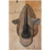Image 3 : *TEXAS RESIDENTS ONLY* *Extremely Rare* BLACK RHINO with *Real Horns and Real Skin*