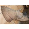 Image 7 : *TEXAS RESIDENTS ONLY* *Extremely Rare* BLACK RHINO with *Real Horns and Real Skin*