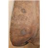 Image 9 : *TEXAS RESIDENTS ONLY* *Extremely Rare* BLACK RHINO with *Real Horns and Real Skin*