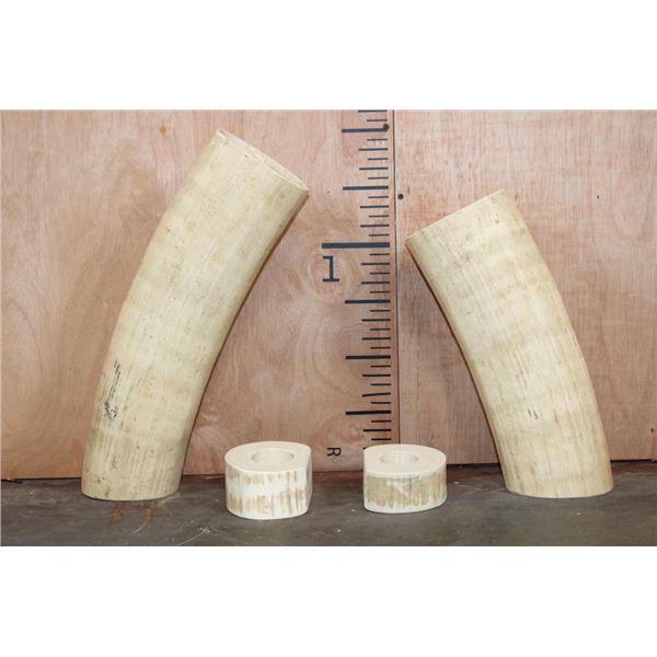 *TEXAS RESIDENTS ONLY* (4) ELEPHANT IVORY Tusk Sections (ONE$)