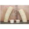 Image 1 : *TEXAS RESIDENTS ONLY* (4) ELEPHANT IVORY Tusk Sections (ONE$)