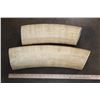 Image 8 : *TEXAS RESIDENTS ONLY* (4) ELEPHANT IVORY Tusk Sections (ONE$)