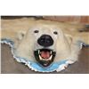 Image 1 : POLAR BEAR Rug with its Mounted Head and Double Felted Backing
