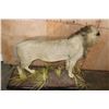 Image 9 : *TEXAS RESIDENTS ONLY* Life-sized AFRICAN LION on a Base with Wheels