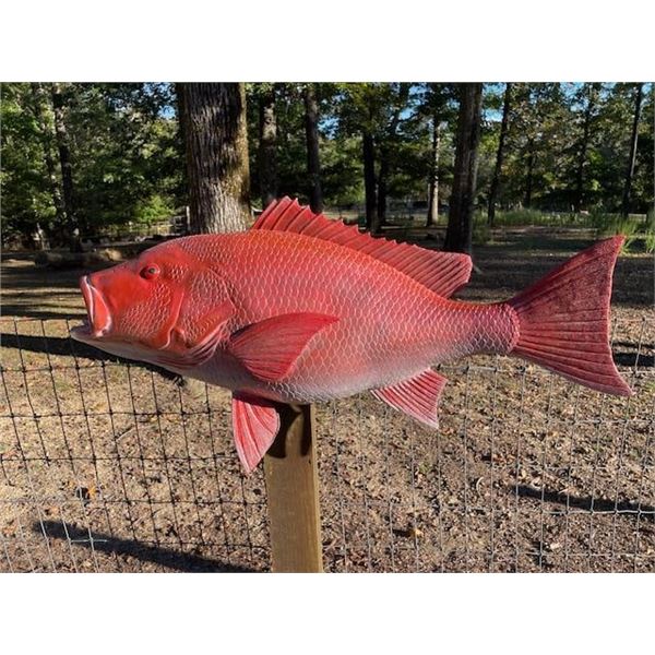 *New in Box* XXL Reproduction RED SNAPPER Fish Mount
