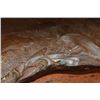 Image 8 : Big Original #4/15 "If Thoughts Could Kill" Bronze SCULPTURE by Mehl Lawson, Weight: 29 lbs