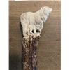 Image 1 : Hand-carved STAG ANTLER Handle of a BEAR and CUB