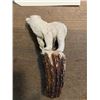 Image 2 : Hand-carved STAG ANTLER Handle of a BEAR and CUB