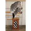 Image 12 : Beautiful Double ZEBRA Pedestal Mount