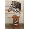 Image 13 : Beautiful Double ZEBRA Pedestal Mount