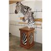 Image 2 : Beautiful Double ZEBRA Pedestal Mount