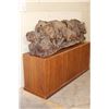 Image 4 : XL Original Hand-carved Leadwood Sculpture of a WILDEBEEST Family by African artist Robert Nzali