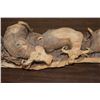 Image 11 : 6' Long Original Hand-carved Leadwood CAPE BUFFALO Heard Sculpture by artist Mandla Khumalo