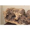 Image 5 : 6' Long Original Hand-carved Leadwood CAPE BUFFALO Heard Sculpture by artist Mandla Khumalo