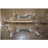 Image 2 : *TEXAS RESIDENTS ONLY* Chrome Tanned JAGUAR Hide with All its Claws!