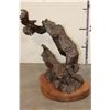 Image 14 : XL Original BRONZE Sculpture by Johnathan Bronson, Numbered #4/24. Weight: 54 lbs 13 oz