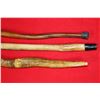 Image 8 : (3) Animal Penis Canes in a Wood and Glass Display Case (ONE$)
