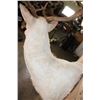 Image 9 : Big 25-Point White FALLOW DEER Wall Pedestal Mount