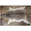 Image 2 : ZEBRA Rug with a Carpet Backing, Haning Loops, and Leather Piping