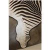 Image 8 : ZEBRA Rug with a Carpet Backing, Haning Loops, and Leather Piping