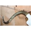 Image 8 : XL TEXAS LONGHORN Skull with the "Texas Twist" on a Wood Plaque