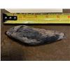 Image 2 : *Rare* Very Old Fossilized SPERM WHALE Tooth in a Display Case with Glass