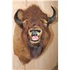 Image 2 : Unique BUFFALO or Bison Shoulder Mount with a Hard Right Turn