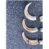 Image 2 : (6) WARTHOG Upper Tusks (ONE$)