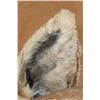 Image 11 : Big MOOSE Shoulder Mount with 23-Points