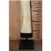 Image 2 : SWORDFISH BILL on a Custom Metal Display Stand