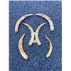 Image 1 : (6) WARTHOG Lower Tusks (ONE$)