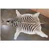 Image 2 : XL ZEBRA Hide