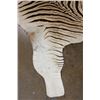 Image 8 : XL ZEBRA Hide