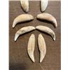 Image 2 : 3 Matching Pairs (6) BLACK BEAR Canine Teeth in a Display Case with Glass (ONE$)