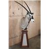 Image 2 : GEMSBOK Pedestal Mount with GEMSBOK Hide Panels and a Wood Pedestal