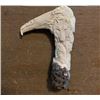 Image 2 : Hand-carved STAG ANTLER Handle with 3 Bald Eagles, 3 Wolf, 2 Bears, 1 Bison, and 1 Ram Head