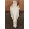 Image 2 : ZEBRA Skull with All its Teeth and a Removable Jaw