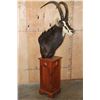 Image 1 : Big SABLE Pedestal Mount
