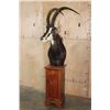 Image 2 : Big SABLE Pedestal Mount
