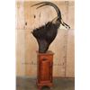 Image 8 : Big SABLE Pedestal Mount