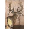 Image 8 : XXL 32-Point Reproduction Non-Typical WHITETAIL DEER Pedestal Mount